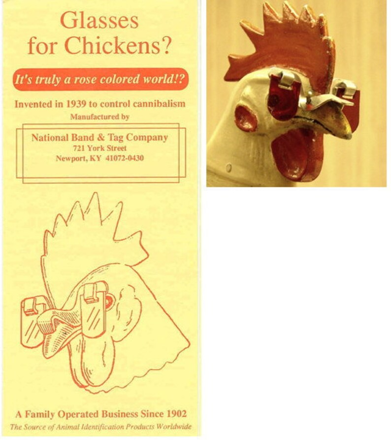 Authentic Chicken Rosecolored Sunglasses Circa 1937 As Seen Etsy