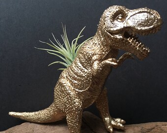 Gold T Rex Dinosaur Air Plant Holder - dinosaur planter - dinosaur gifts - office gift - tillandsia holder - dinosaur decor