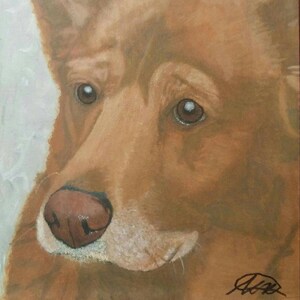 Custom Pet Portrait