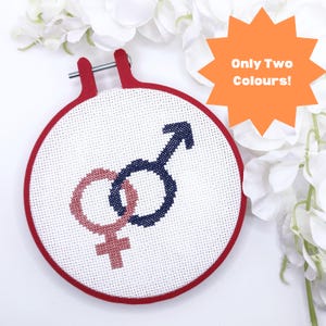 Op de afbeelding: Een borduurring met een rode rand en witte stof erin. De stof heeft een kruissteekontwerp van een roze vrouwelijk symbool en een blauw mannelijk symbool dat met elkaar verweven is. De tekst "Only Two Colours!" staat op een feloranje ster.