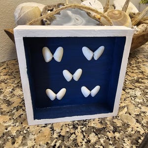 May include: A white-framed shadow box with a navy blue interior. Six white, shell-shaped objects are arranged inside. The box is sitting on a speckled countertop. The background includes a wooden bowl filled with seashells and decorative items.