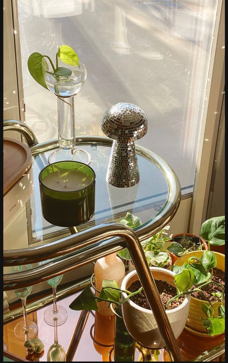 Disco Mushroom Disco Ball Home Decor Etsy