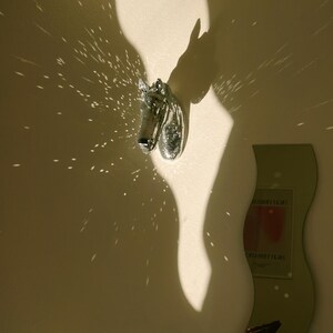 pony disco ball wall art decor