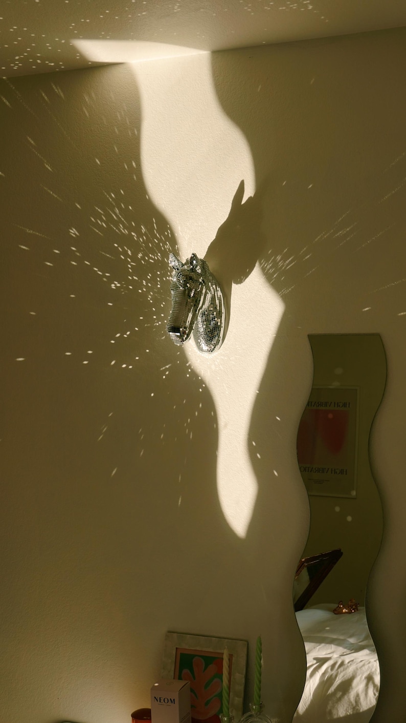 pony disco ball wall art decor