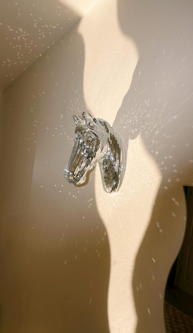 disco ball pony disco pony