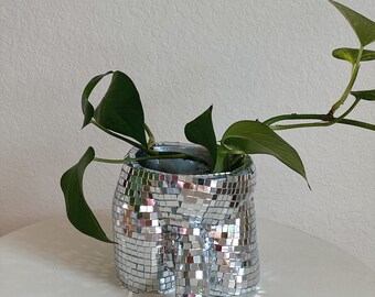 disco cock planter