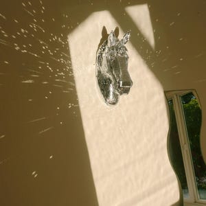 disco ball pony wall art home decor wall mount