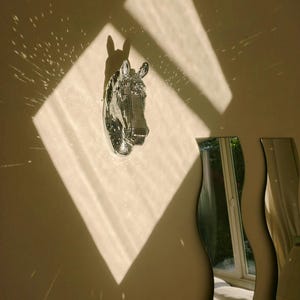 disco pony wall art home decor wall mount  disco ball art