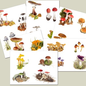 Aquarel wenskaarten met paddenstoelen, blanco van binnen