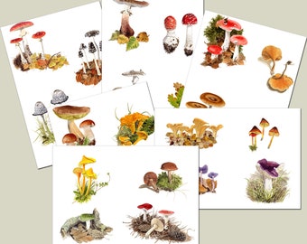 Pilz Aquarell Grußkarten, innen blanko