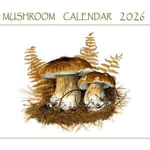 Può includere: Illustrazione ad acquerello di due funghi marroni e bianchi con sfondo di felci. Il testo "MUSHROOM CALENDAR 2026" è in alto in un carattere serif. I funghi sono in un letto di aghi marroni.