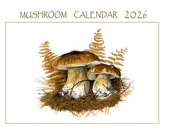 Mushroom Wall Calendar 2026 printed from watercolour paintings by Peter Thwaites