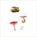 see more listings in the Grandes impressions de champignons section