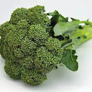 May include: A bunch of fresh green broccoli with the stalk still attached.