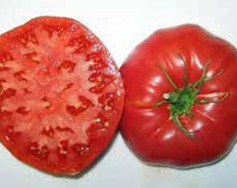 Tomato, Giant Belgium Tomato Seeds, Heirloom, NON GMO, Country Creek Acres