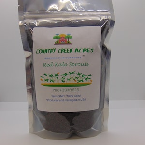 Red Kale Microgreen Sprouting Seeds, Heirloom, NON GMO, Country Creek Acres