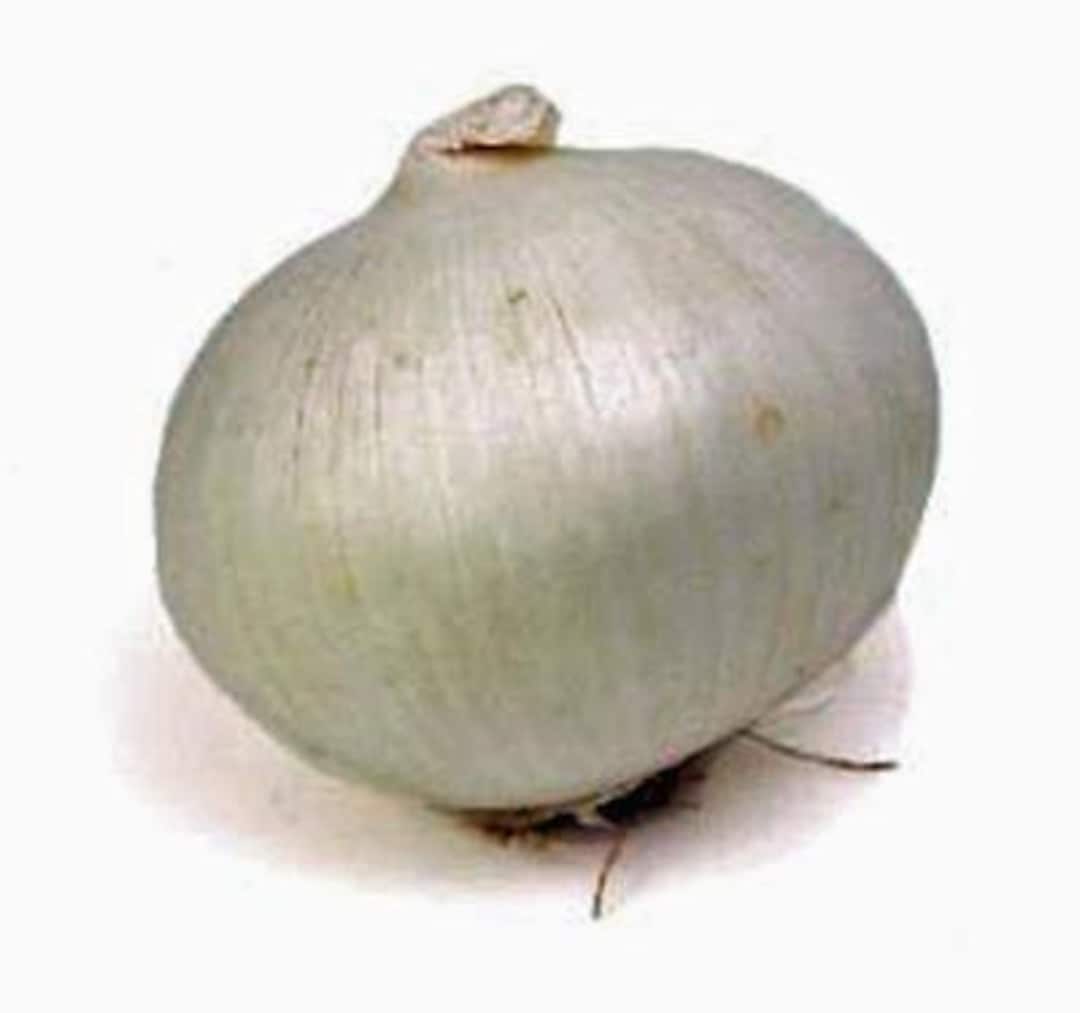 Onion Spanish White Onion Seeds Heirloom NON GMO Country Etsy