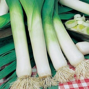 May include: Close-up of four leeks with green tops and white bulbs. The leeks are arranged on a red and white checkered surface.