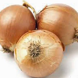 Onion, Yellow Spanish Onion Seeds, Heirloom, Country Creek Acres