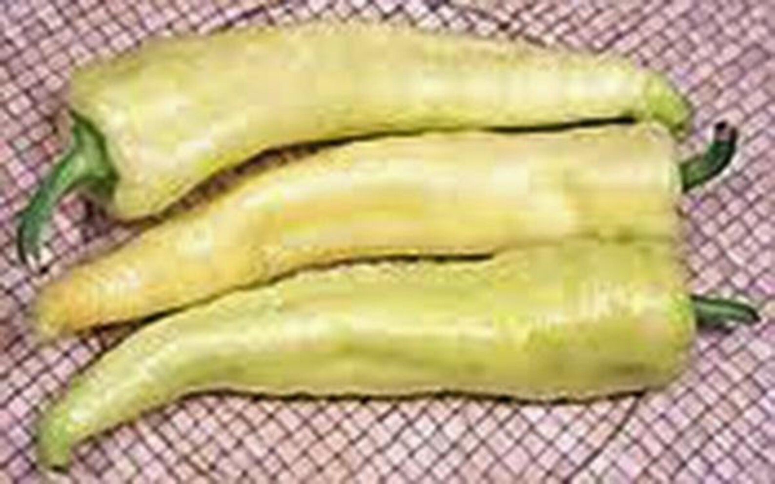 Pepper Sweet Banana Pepper Seeds Heirloom NON GMO Country Etsy