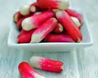 Radish, French Breakfast Radish Seeds, Heirloom, NON GMO, Country Creek Acres