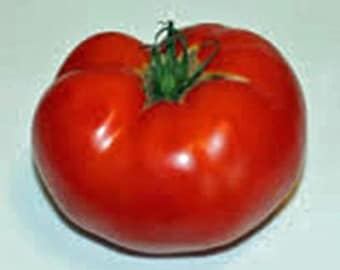 Tomato, Rutgers Tomato Seeds, Heirloom, NON GMO, Country Creek Acres