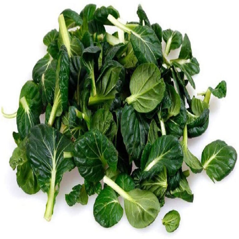 Country Creek Acres Tatsoi Mustard Green Seeds