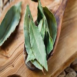 May include: A close-up of a wooden spoon filled with fresh green bay leaves. The leaves are arranged in a pile and are ready to be used for cooking.