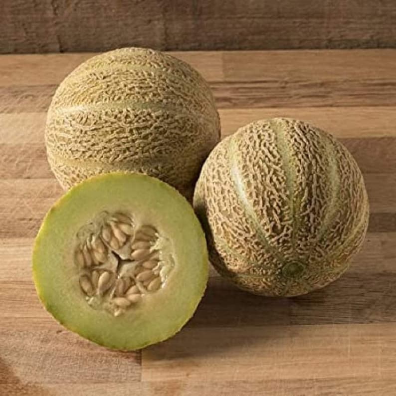 Rocky Ford Green Flesh Honey Dew Melon Seeds, Heirloom, NON GMO