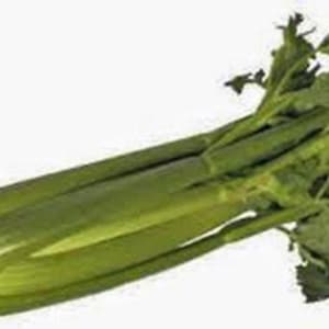 May include: A bunch of fresh green celery stalks with leaves.