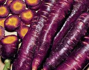 Könnte beinhalten: Nahaufnahme von lila Karotten, ganz und geschnitten. Die Karotten haben eine tiefviolette Schale und einen leuchtend orangefarbenen Kern. Einige Karotten haben noch ihr grünes Kraut. Das Bild zeigt frische, farbenfrohe Produkte.