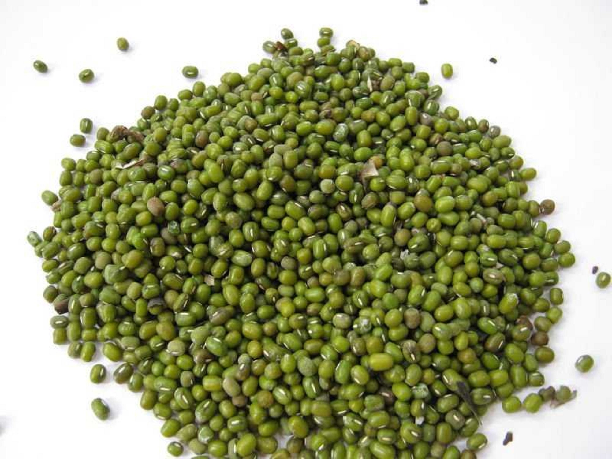 Micro Polybeans Mung Bean Microgreen Sprouting Seeds, Heirloom, NON GMO, Country Creek ...