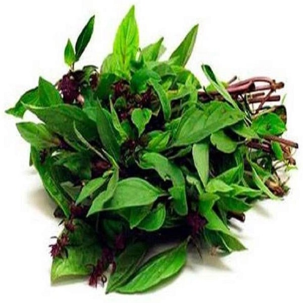 Thai Basil Herb Seeds, Heirloom, NON GMO, Country Creek Acres