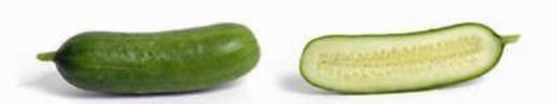 Cucumber, Boston Pickling Cucumber Seeds, Heirloom, NON GMO, Country Creek Acres image 3