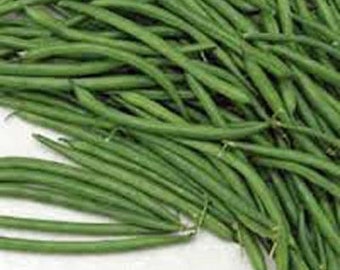 Bean Seeds, Burpee Stringless Green Bean Seeds, Heirloom, Delicious, Country Creek Acres