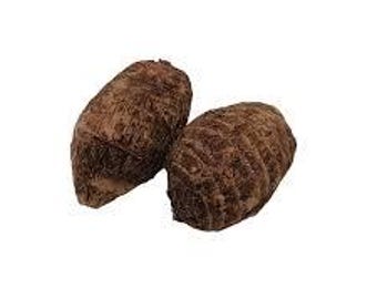 Fresh Taro Root - Premium Quality, Nutritious, & Versatile, Plant Taro Root for large Elephant Ear Plants. For growing plants or kitchen use