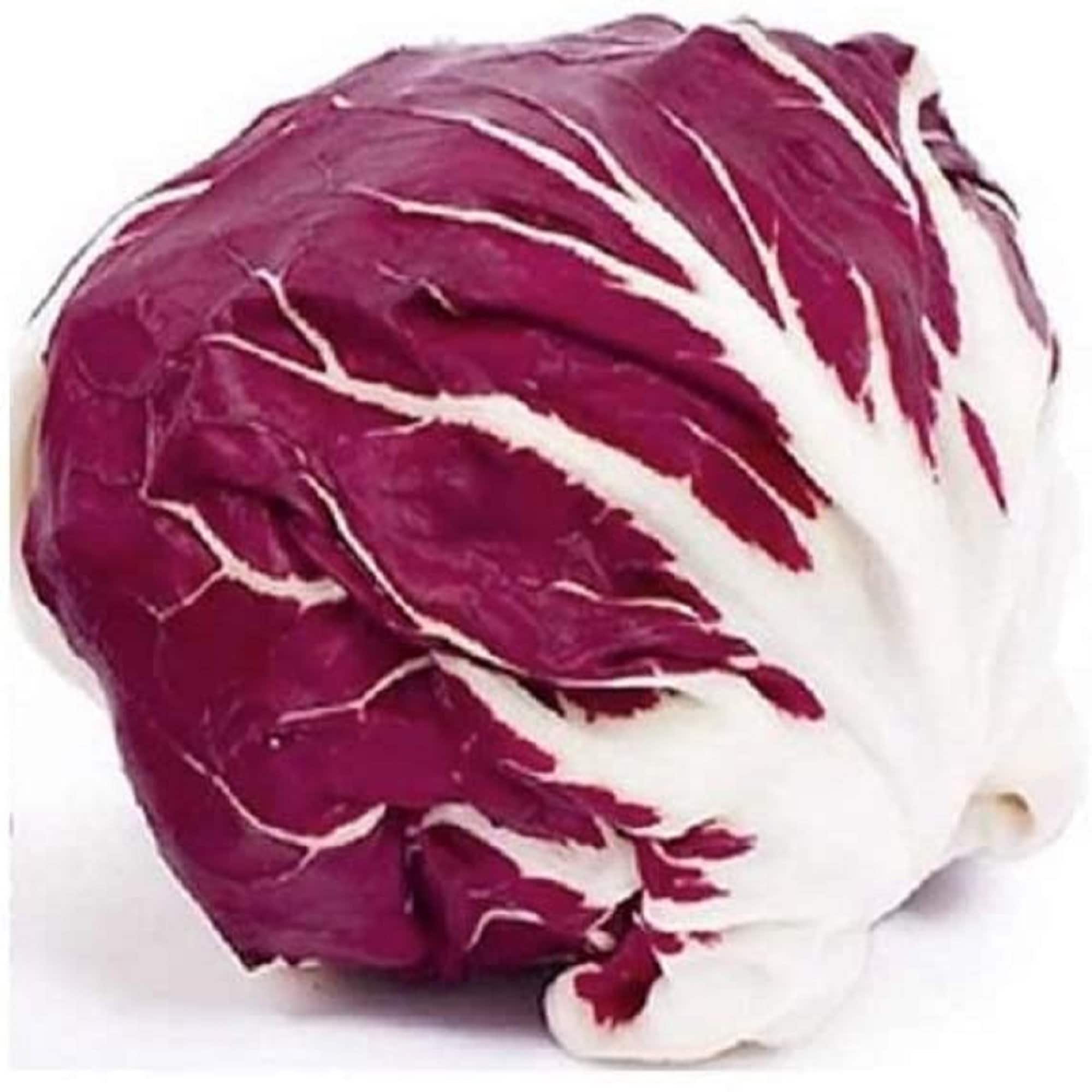 Raddichio Rosa Palla Rosa Radicchio Seeds, Heirloom, NON GMO, Country Creek Acres - Etsy