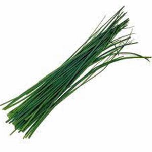 Cebolletas, semillas de cebollino, reliquia, sin OGM, Country Creek Acres