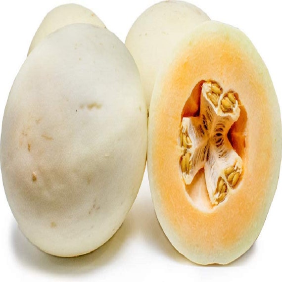 Orange Honeydew Melon Seeds - Heirloom Non-GMO Garden Vegetable Seeds