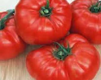 Tomato, Beefsteak Tomato Seeds, Heirloom, NON GMO, Country Creek Acres