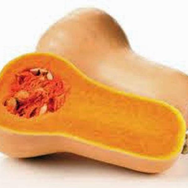 Squash, Waltham Butternut Squash Seeds, Heirloom, NON GMO, Country Creek Acres