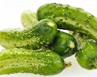 Cucumber, Boston Pickling Cucumber Seeds, Heirloom, NON GMO, Country Creek Acres