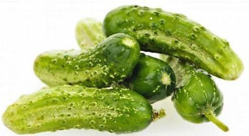 Cucumber, Boston Pickling Cucumber Seeds, Heirloom, NON GMO, Country Creek Acres image 1