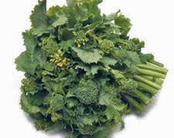 May include: A bunch of fresh green broccoli rabe with stems and leaves.