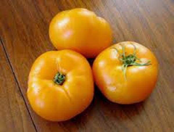 120+ Golden Jubilee Tomato Seeds – HEIRLOOM, ORGANIC, NON-GMO – Fresh USA Grown