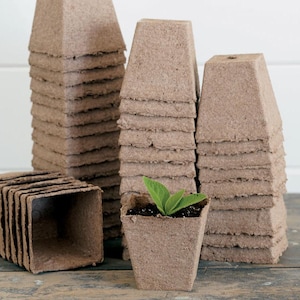 May include: A collection of brown, square-shaped seedling pots made of a fibrous material. One pot contains a small plant with green leaves. The pots are stacked in several piles, ready for planting.