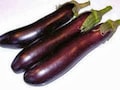 Eggplant, Long Purple Eggplant Seeds, Heirloom, NON GMO, Country Creek Acres