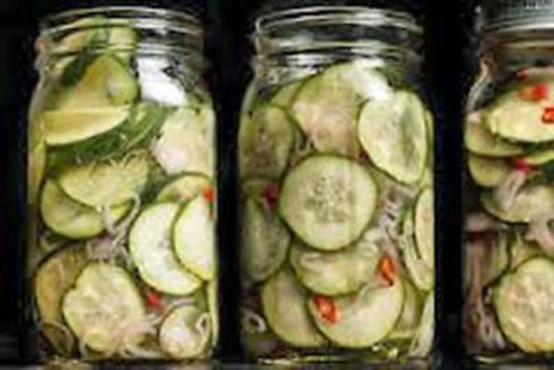 Cucumber, Boston Pickling Cucumber Seeds, Heirloom, NON GMO, Country Creek Acres image 4