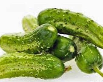 Cucumber, National Pickling Cucumber Seeds, Heirloom, NON GMO, Country Creek Acres