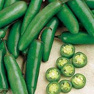 May include: A pile of green jalapeno peppers, some whole and some sliced. The peppers are on a light brown surface.